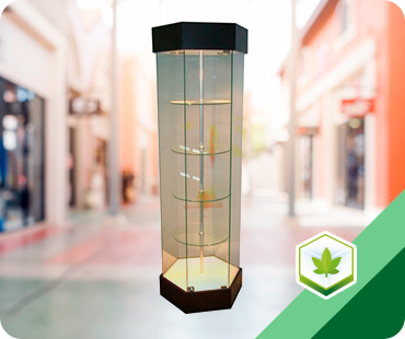 Cannabis hexagonal showcase