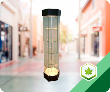 Cannabis hexagonal showcase