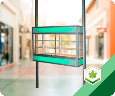 Cannabis Suspended Showcase