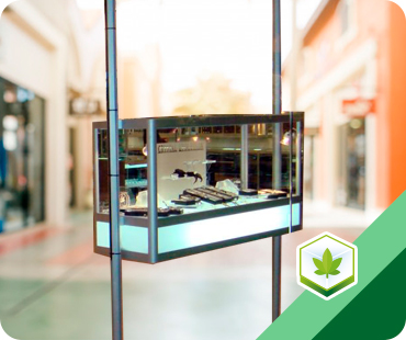 Cannabis suspended showcase