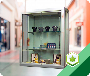 Cannabis hanging showcase